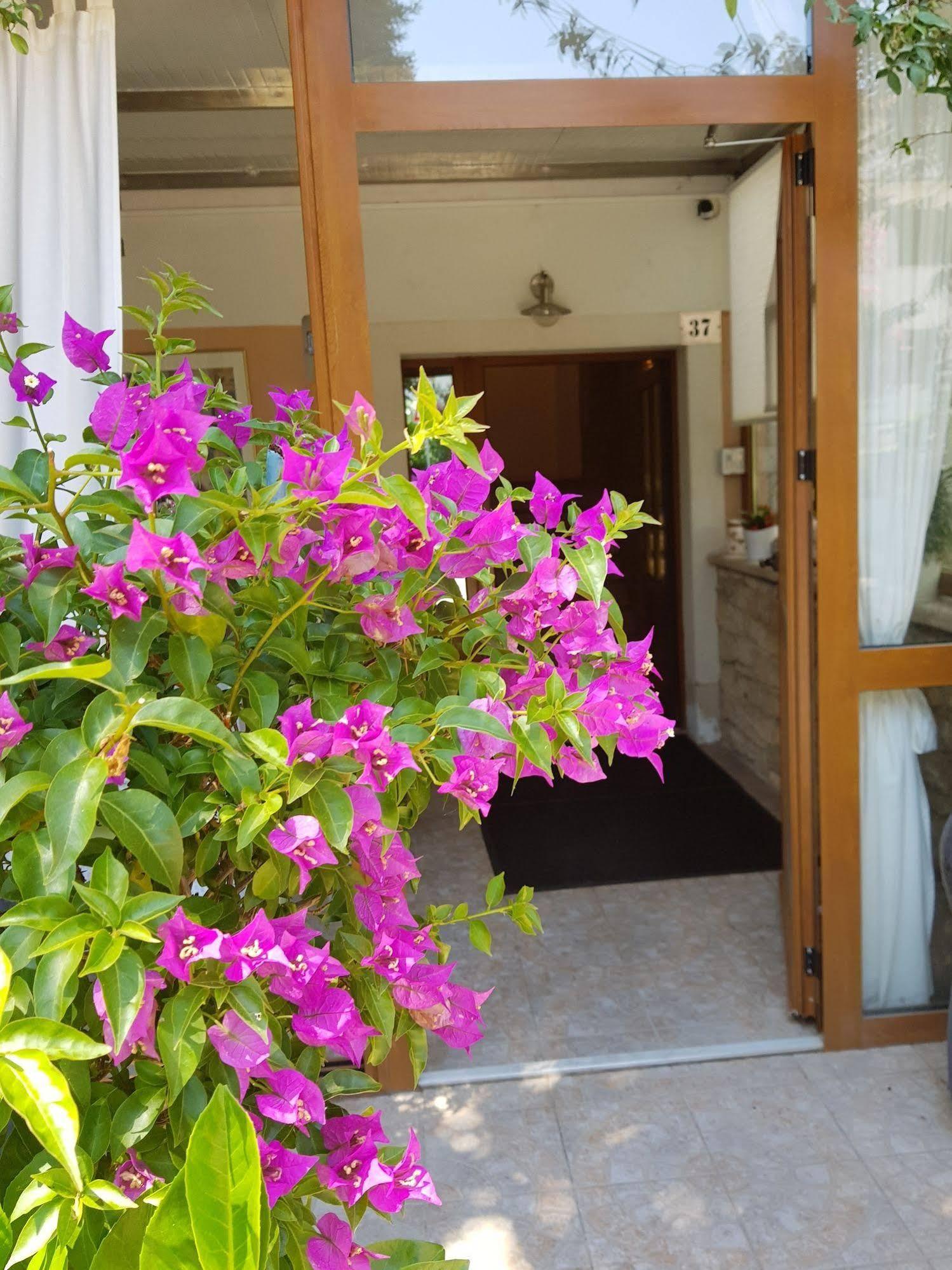Boutique Hotel Santa Maria Novigrad  Luaran gambar